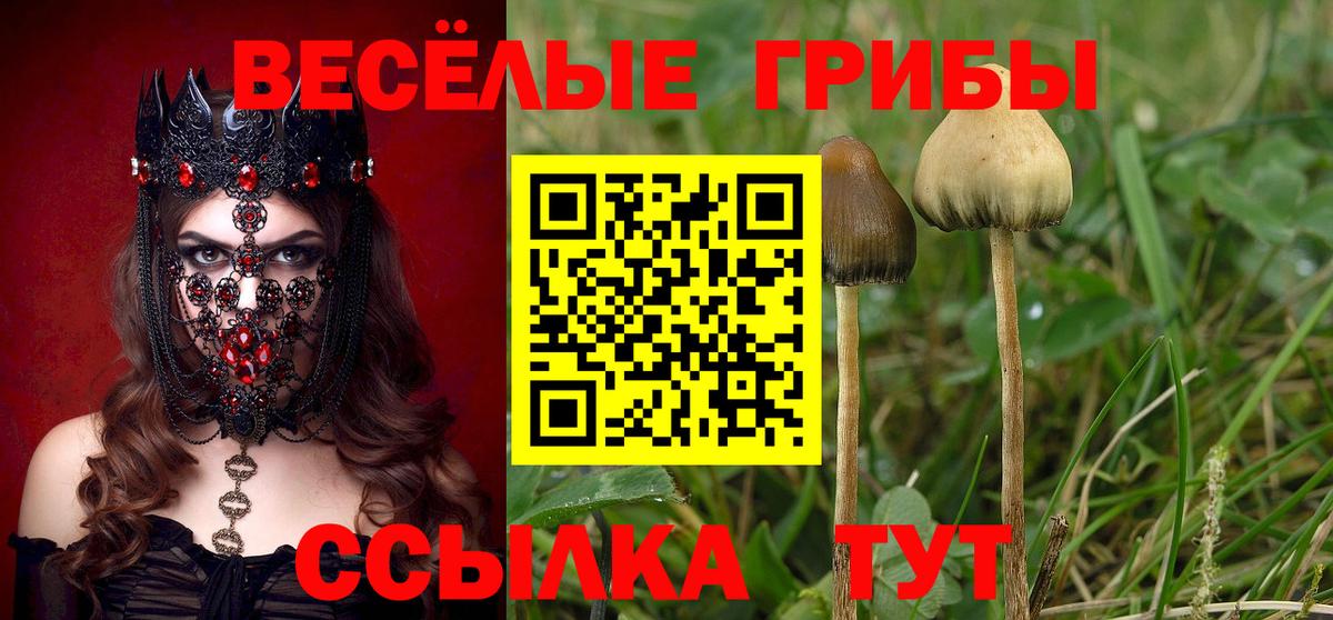Псилоцибиновые грибы Cubensis  купить наркотик  Краснодар  Вход с VPN 